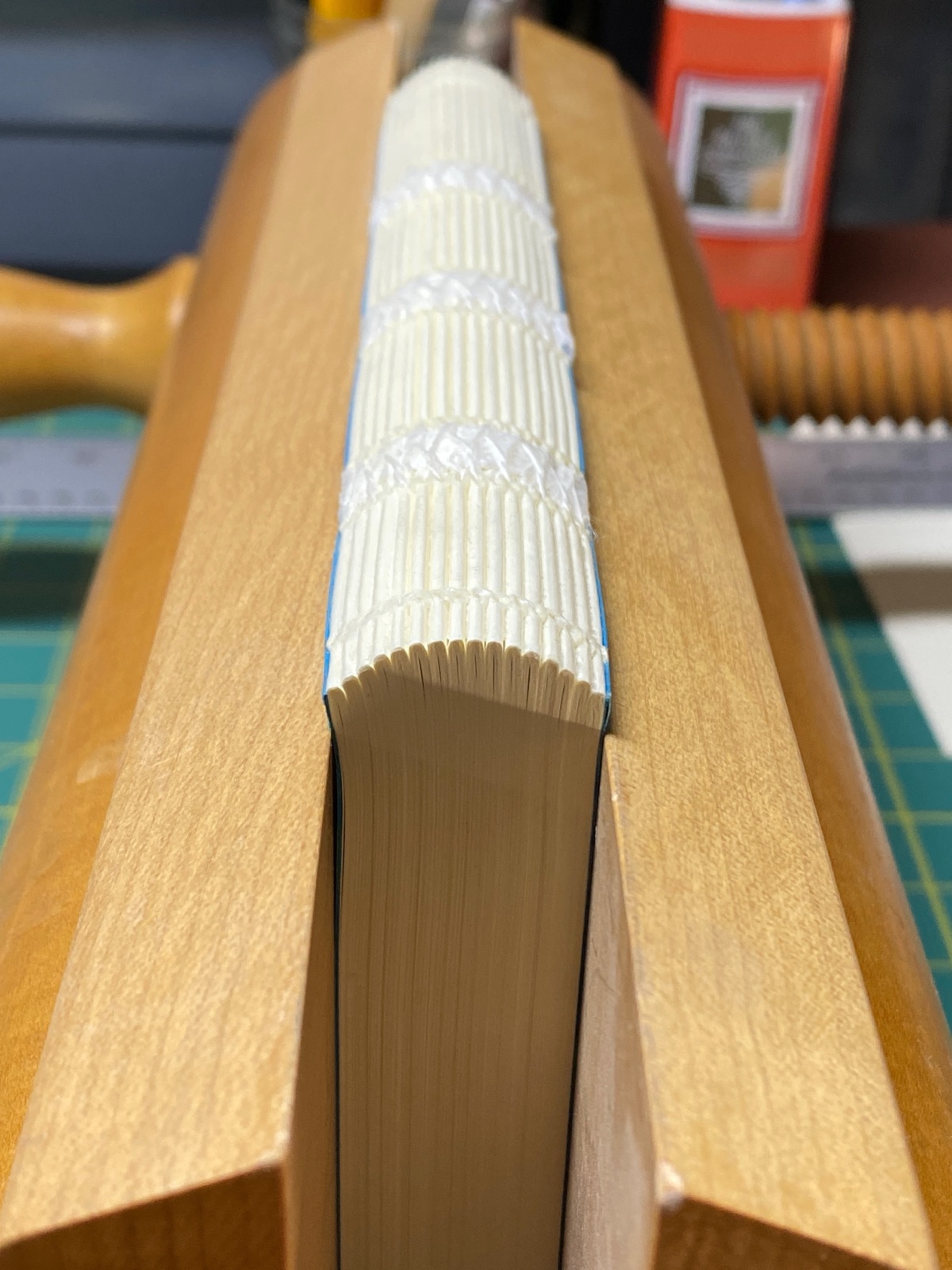 A text block being rounded in a wooden press