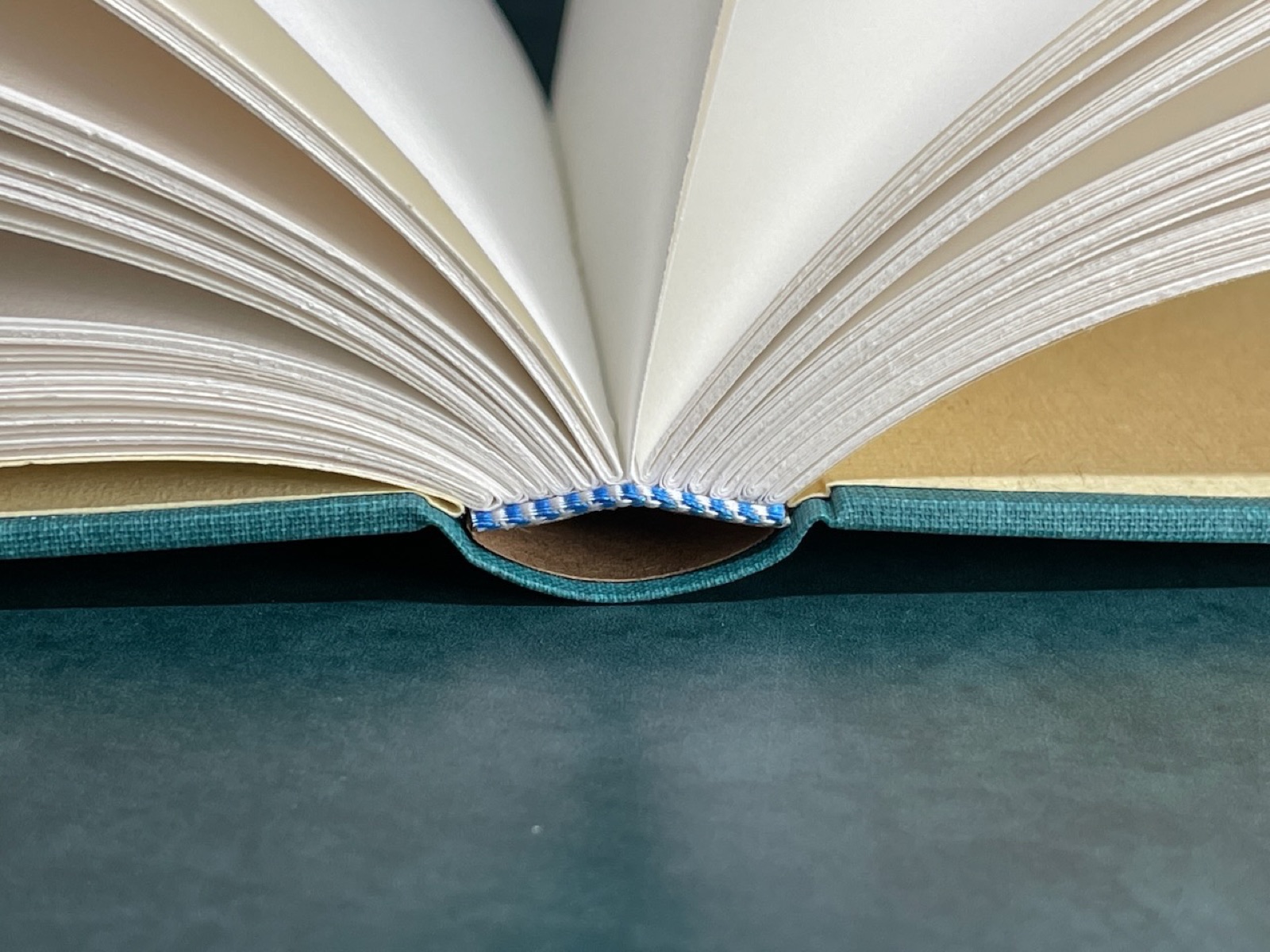 The teal binding standing open, pages fanned.