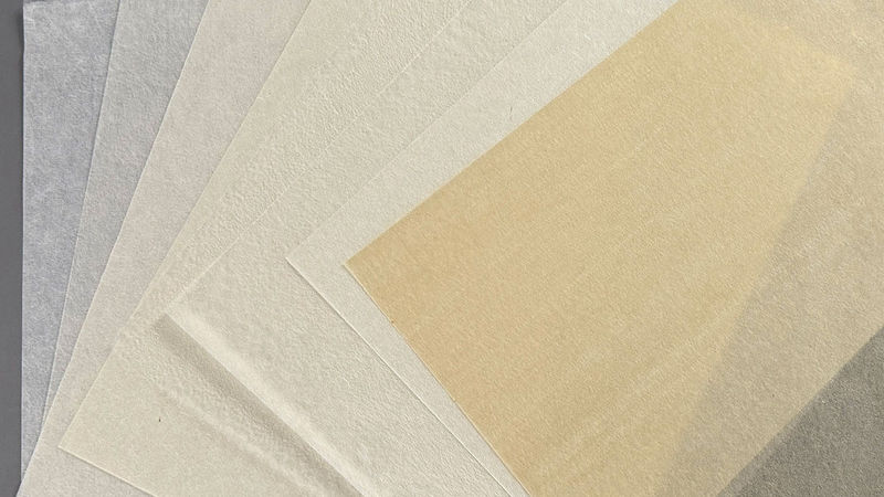 A sheet of thin Japanese tissue paper.